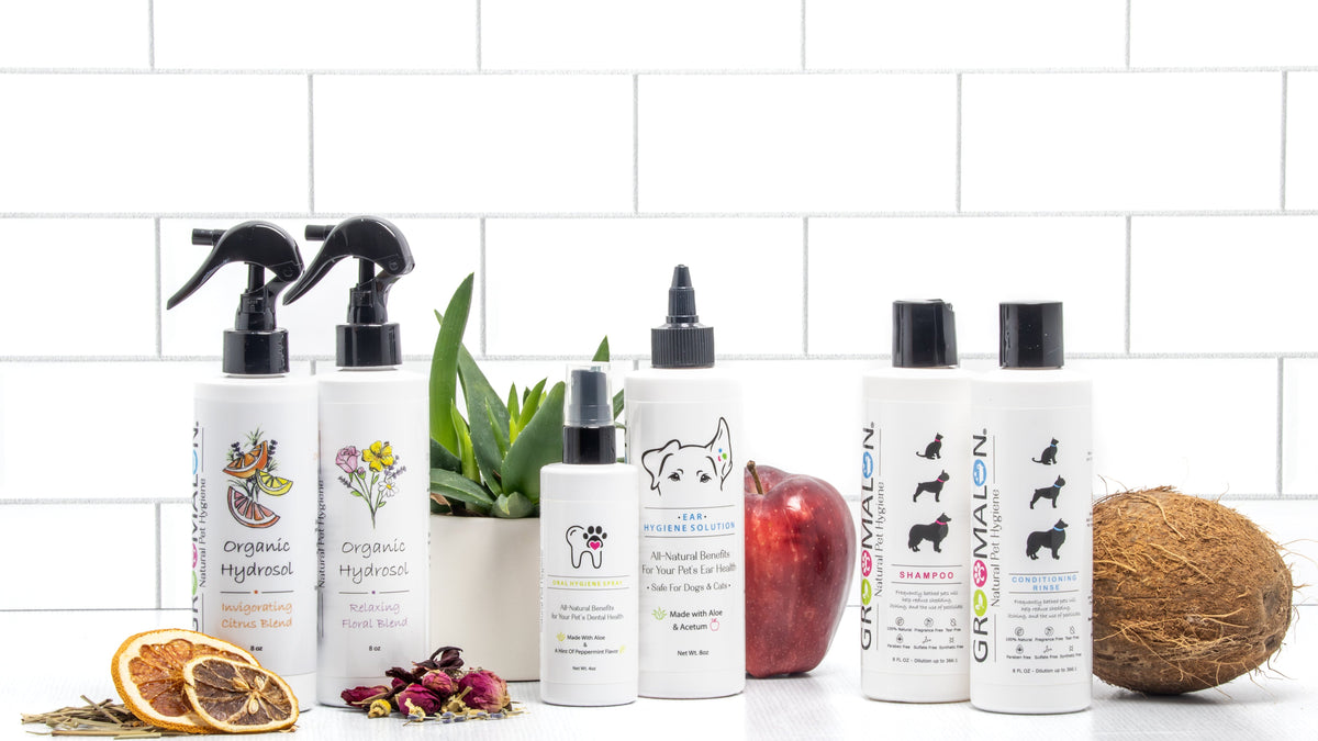 Retail Hygiene Starter Collection